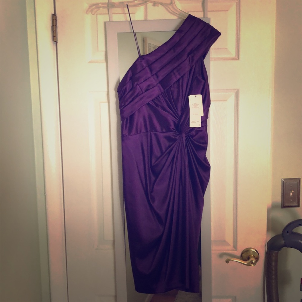 Brand new Adrianna Papell cocktail dress